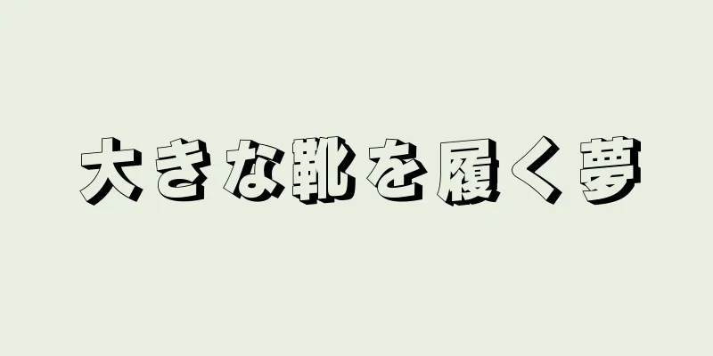 大きな靴を履く夢
