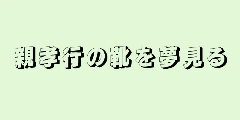 親孝行の靴を夢見る
