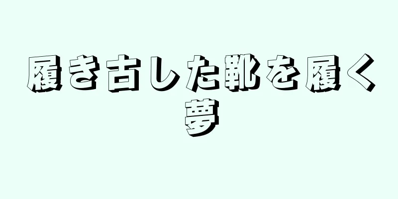 履き古した靴を履く夢