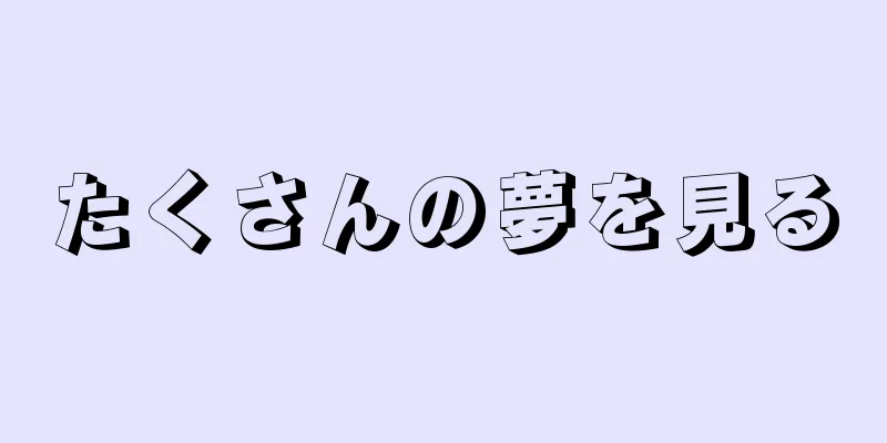 たくさんの夢を見る