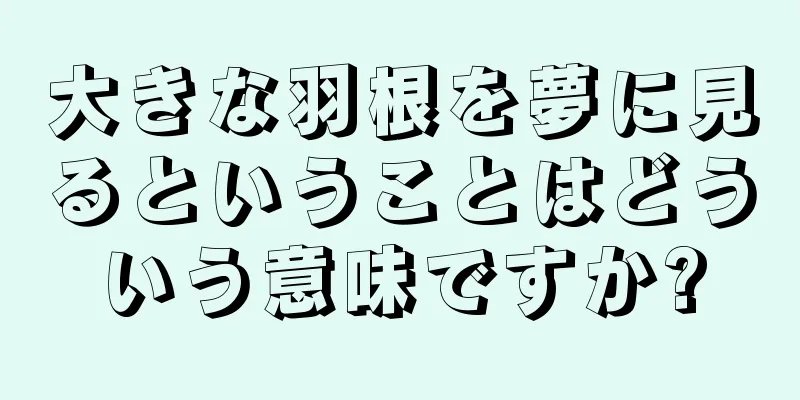 大きな羽根を夢に見るということはどういう意味ですか?