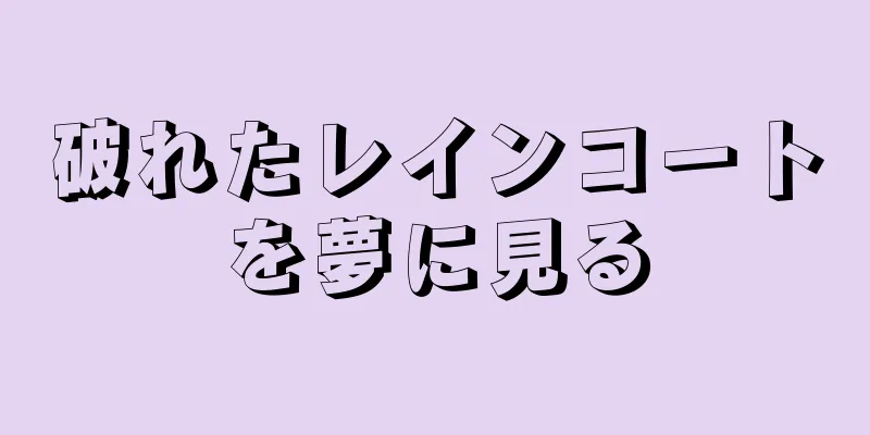 破れたレインコートを夢に見る