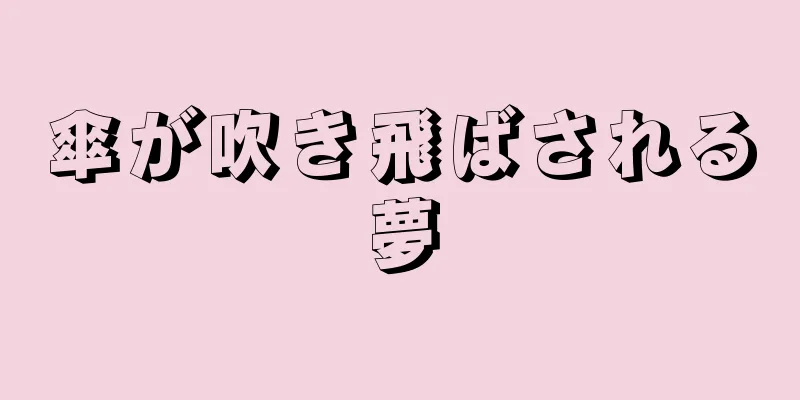 傘が吹き飛ばされる夢