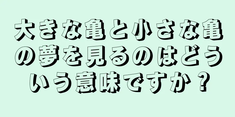 大きな亀と小さな亀の夢を見るのはどういう意味ですか？
