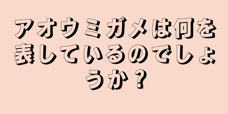 アオウミガメは何を表しているのでしょうか？