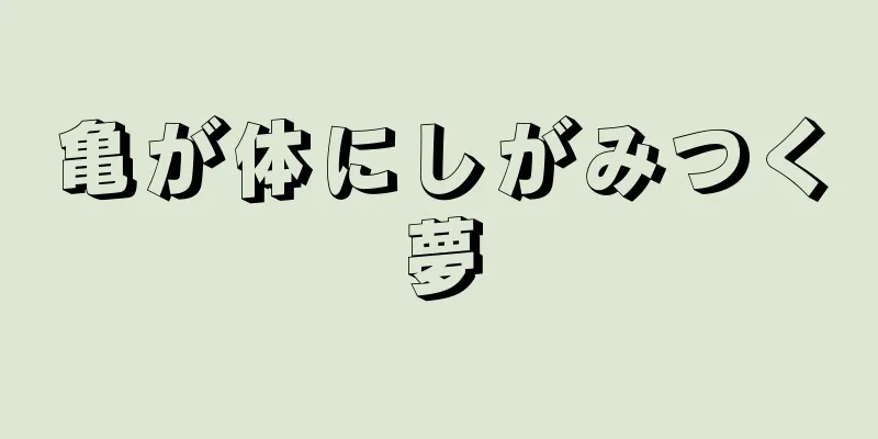 亀が体にしがみつく夢