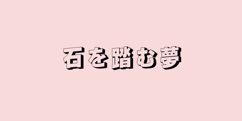 石を踏む夢