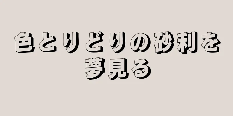 色とりどりの砂利を夢見る
