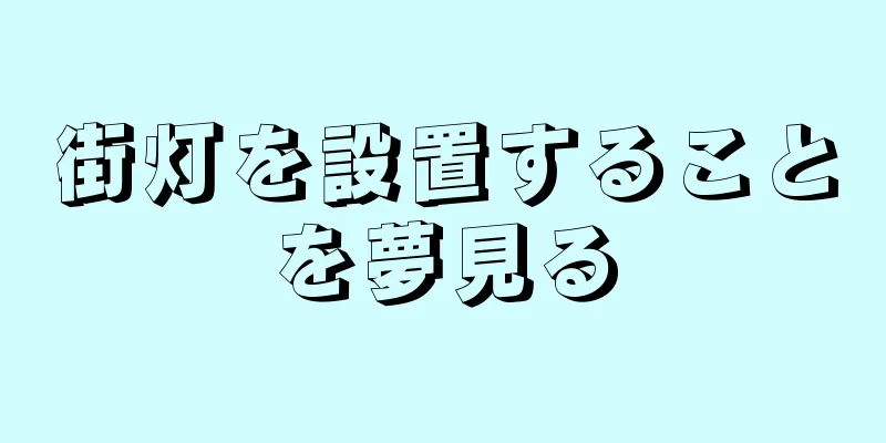 街灯を設置することを夢見る