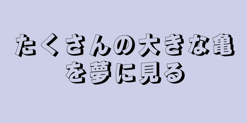 たくさんの大きな亀を夢に見る