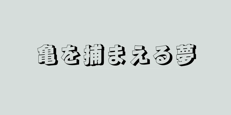 亀を捕まえる夢