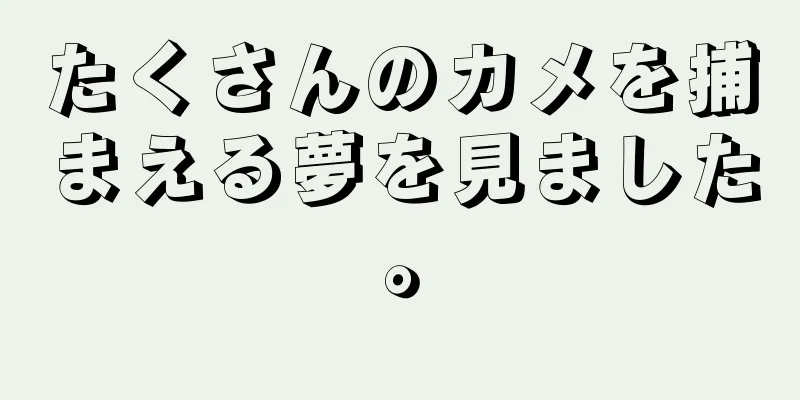 たくさんのカメを捕まえる夢を見ました。