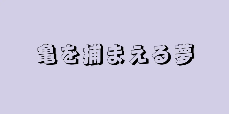 亀を捕まえる夢