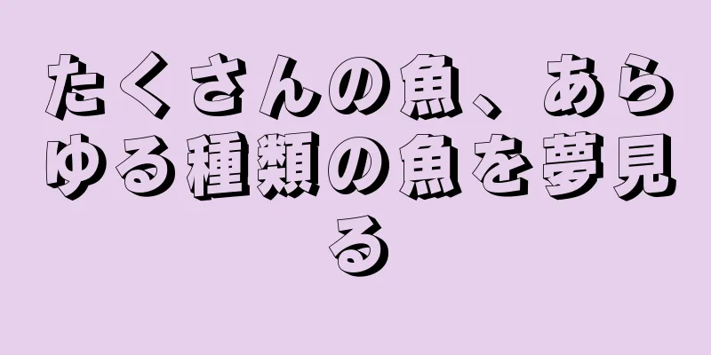 たくさんの魚、あらゆる種類の魚を夢見る