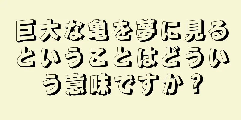 巨大な亀を夢に見るということはどういう意味ですか？