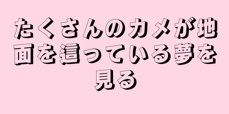 たくさんのカメが地面を這っている夢を見る