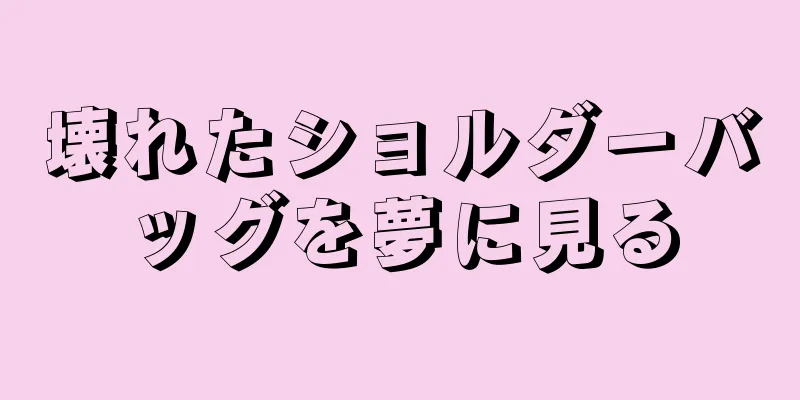 壊れたショルダーバッグを夢に見る