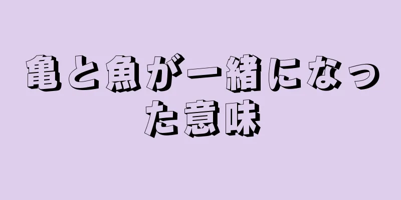 亀と魚が一緒になった意味