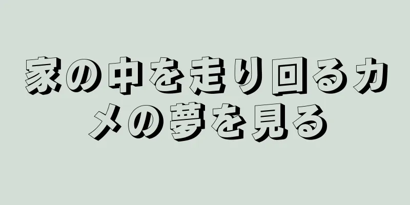 家の中を走り回るカメの夢を見る
