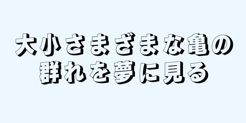 大小さまざまな亀の群れを夢に見る