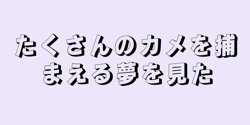 たくさんのカメを捕まえる夢を見た