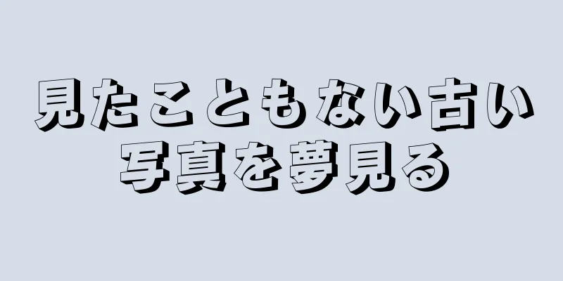 見たこともない古い写真を夢見る