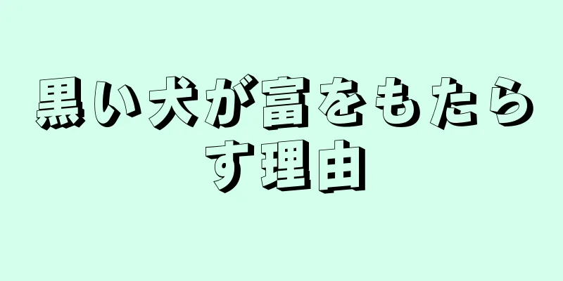 黒い犬が富をもたらす理由