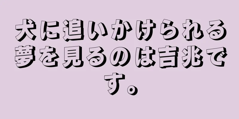 犬に追いかけられる夢を見るのは吉兆です。