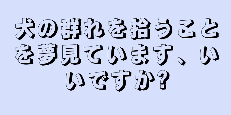 犬の群れを拾うことを夢見ています、いいですか?