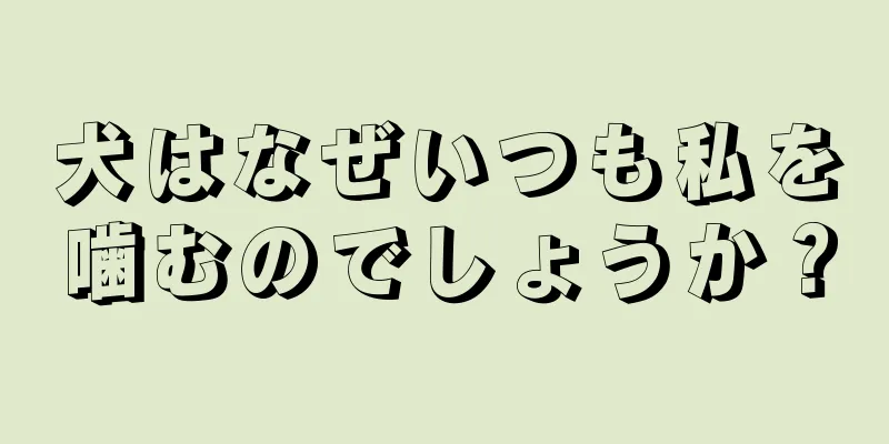 犬はなぜいつも私を噛むのでしょうか？