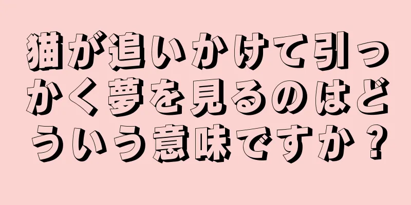 猫が追いかけて引っかく夢を見るのはどういう意味ですか？