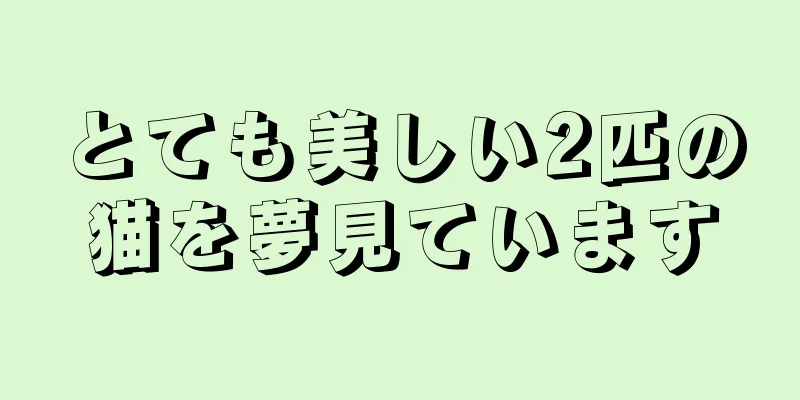 とても美しい2匹の猫を夢見ています