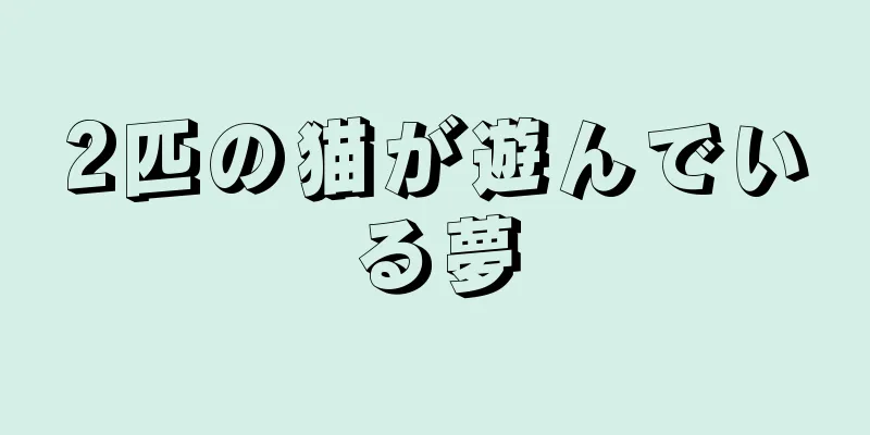 2匹の猫が遊んでいる夢