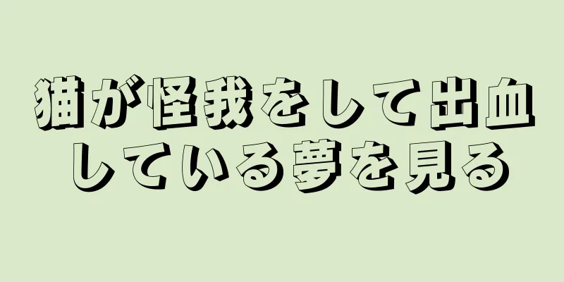 猫が怪我をして出血している夢を見る
