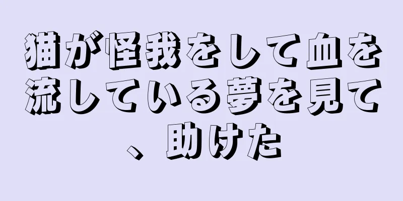 猫が怪我をして血を流している夢を見て、助けた