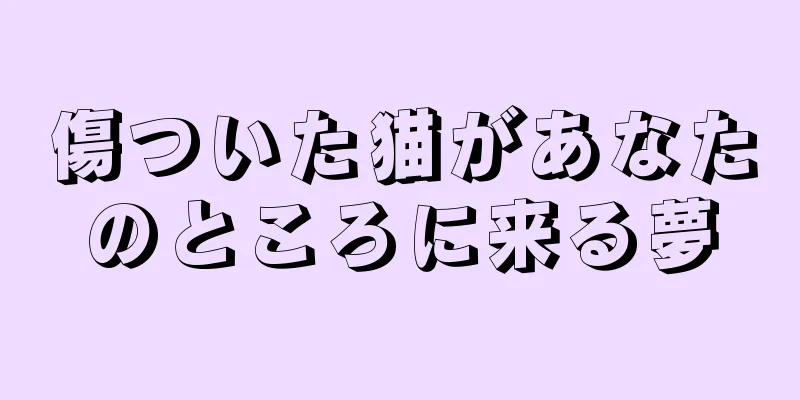傷ついた猫があなたのところに来る夢