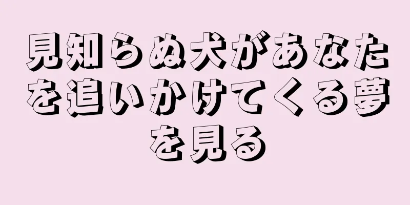 見知らぬ犬があなたを追いかけてくる夢を見る