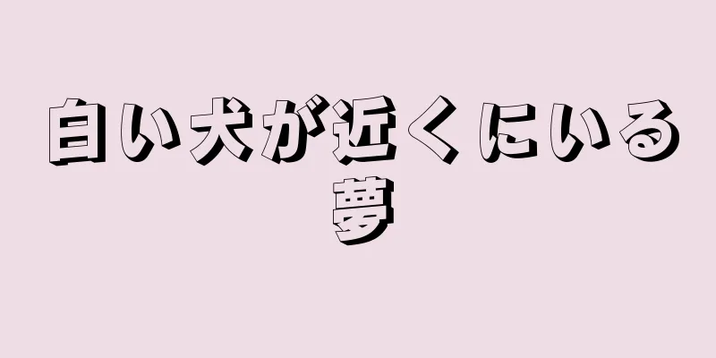 白い犬が近くにいる夢