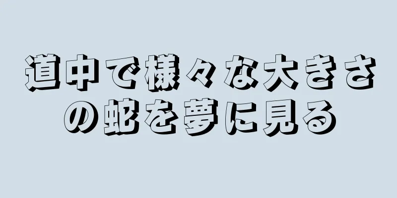 道中で様々な大きさの蛇を夢に見る