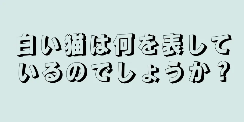 白い猫は何を表しているのでしょうか？