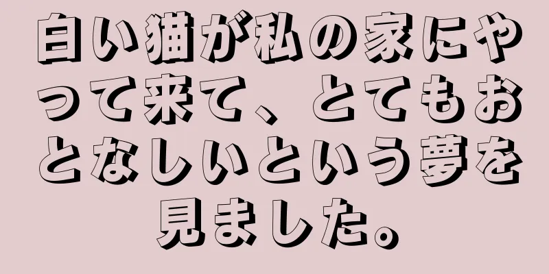 白い猫が私の家にやって来て、とてもおとなしいという夢を見ました。