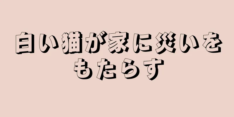 白い猫が家に災いをもたらす