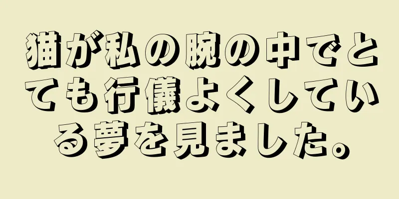 猫が私の腕の中でとても行儀よくしている夢を見ました。