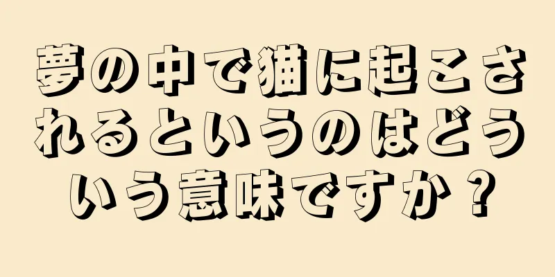夢の中で猫に起こされるというのはどういう意味ですか？