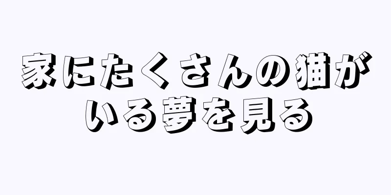 家にたくさんの猫がいる夢を見る
