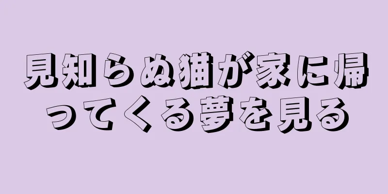 見知らぬ猫が家に帰ってくる夢を見る