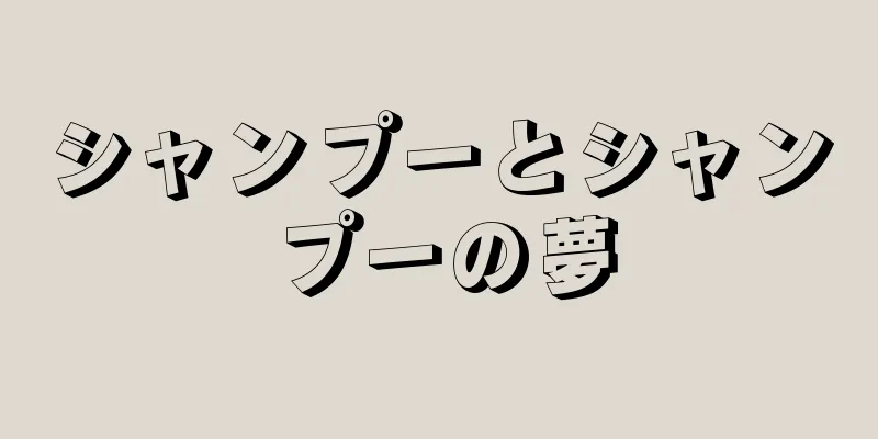 シャンプーとシャンプーの夢
