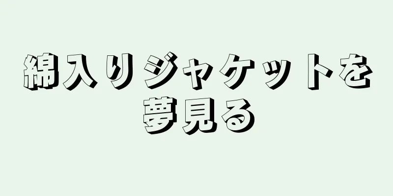 綿入りジャケットを夢見る