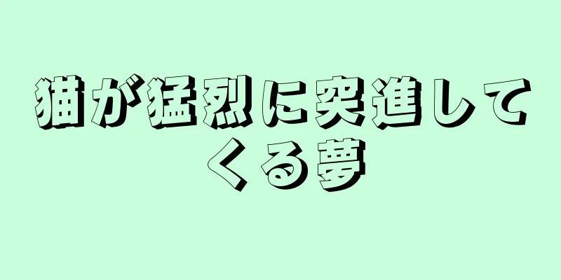 猫が猛烈に突進してくる夢