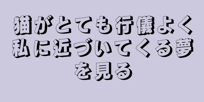 猫がとても行儀よく私に近づいてくる夢を見る